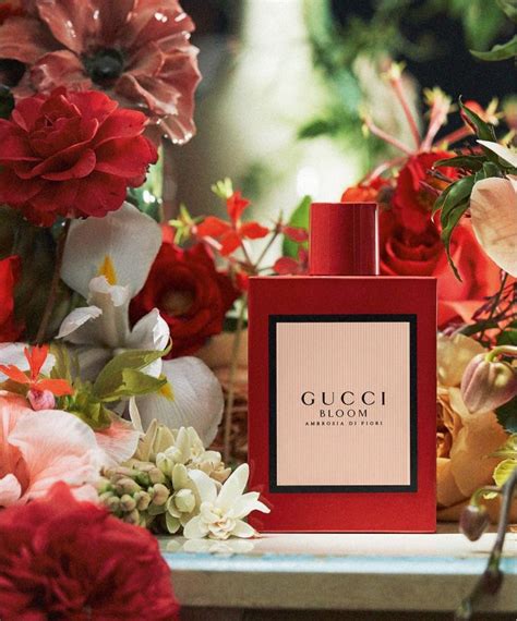 sample gucci bloom|gucci blooms collection.